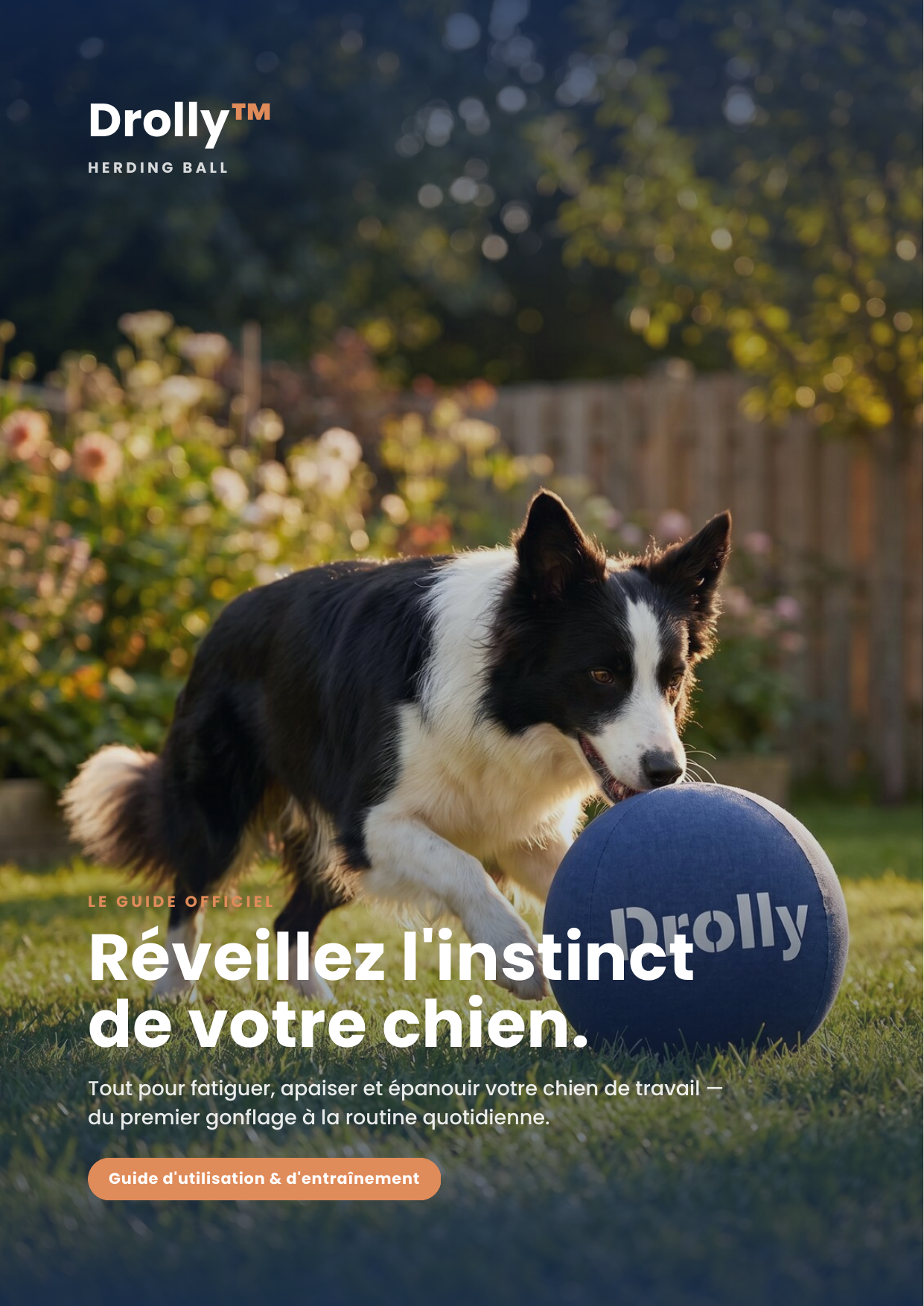 Le Guide Drolly™ — Réveillez l'instinct de votre chien (Ebook PDF)