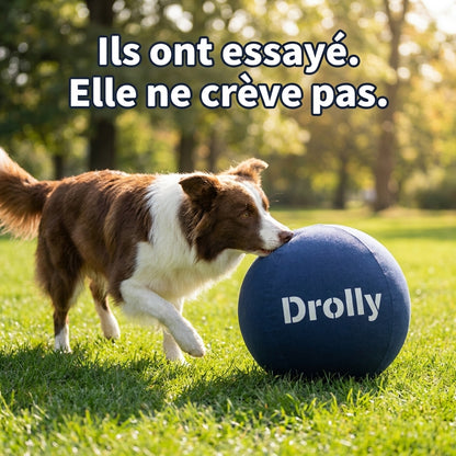 Drolly™ Balle Anti-Ennui