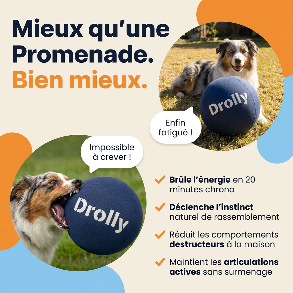 Drolly™ Balle Anti-Ennui
