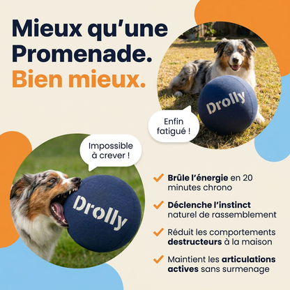 Drolly™ Balle Anti-Ennui