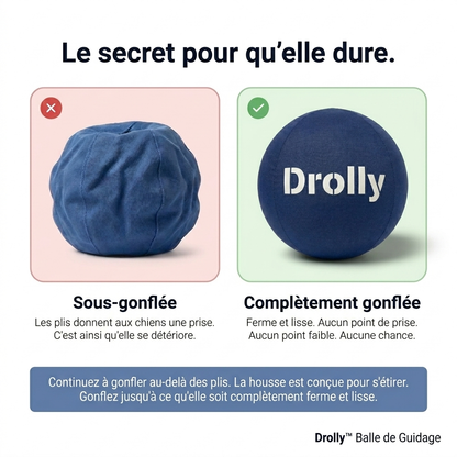 Drolly™ Balle Anti-Ennui