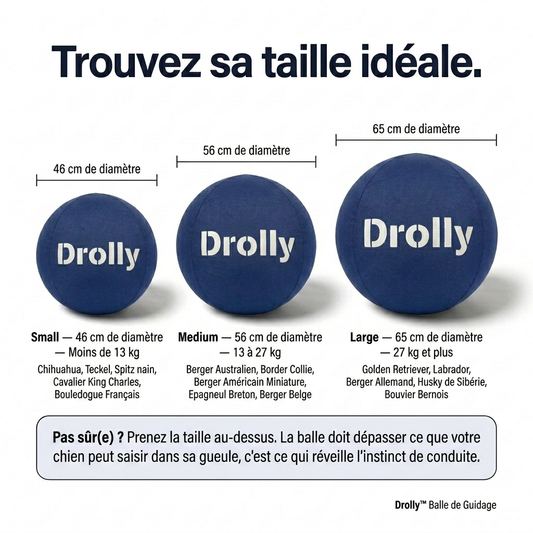 Drolly™ Balle Anti-Ennui